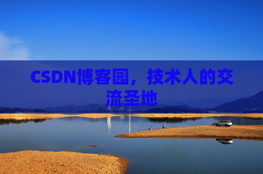 CSDN博客园，技术人的交流圣地